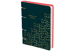 Тетрадь на кольцах 100л. Meshu MS_50665 "Amazing cats", картон, матовая ламинация, выборочный УФ-лак