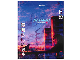 Дневник для ст./кл. Brauberg 106864 "DELIGHT", 48 л., твердый, глянцевая ламинация, с подсказом