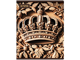 Тетрадь История 48л. ТП5ск48_лс 63898 "Дерево знаний", soft-touch ламинация