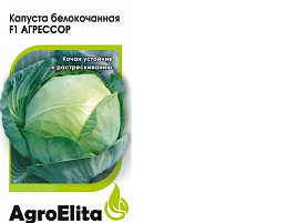 Семена Капуста Агрессор F1 б/к 10шт АЭ 7975
