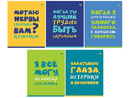 Тетрадь 96л.  Т5ск96_вл 59373 "Status", выб. лак