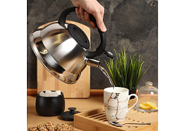 Чайник нержавейка 2,8л МSY-013/1964 Daniks со свистком