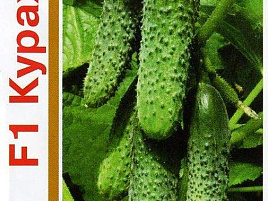 Семена Огурец Кураж F1 1+1/20шт Г 4084