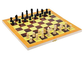 Шахматы 294861