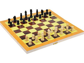 Шахматы 294861