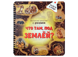 Книга с фонариком 4074  "Что там под Землёй"