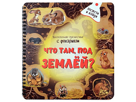 Книга с фонариком 4074  "Что там под Землёй"