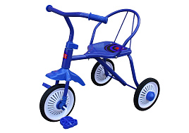 Велосипед детский TR-312 ТИП-ТОП синий