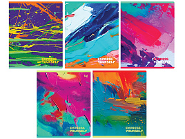 Тетрадь 48л.  Т5ск48 12731 "Штрихи"