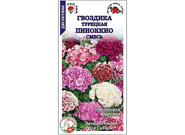 Семена Гвоздика Турецкая Пиноккио смесь 0,2г ЗСА 2670