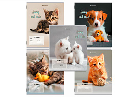 Тетрадь 12л. кос. линия Brauberg 107288 CATS AND DOGS, обложка картон