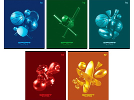 Тетрадь 48л.  Т5ск48_вл 08798 "Спорт", выб.лак