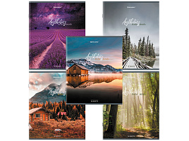 Тетрадь 96л. BRAUBERG 404427 "Nature", глянцевая ламинация