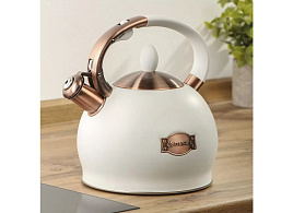 Чайник нержавейка 2,5л PR-2302/3838 Даникс со свистком бежевый