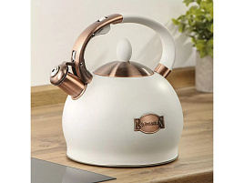 Чайник нержавейка 2,5л PR-2302/3838 Даникс со свистком бежевый