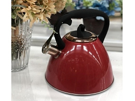 Чайник нержавейка 2,7л 914-152/1526 Agness