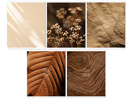 Тетрадь 96л.  Т5ск96 61423 "Calm down", суперэконом