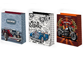 Упаковочная сумочка 18*23 Ч53350/352 Мужская