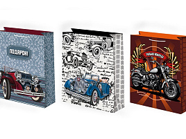 Упаковочная сумочка 18*23 Ч53350/352 Мужская