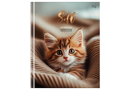 Дневник для мл./кл. Д5т48_лм 64740 "Мягкий", матовая ламинация