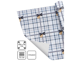 Бумага упаковочная 10889839 Клеточка 70*100см (1л)