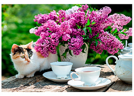 Алмазная мозаика 30*40 НД-0422 Завтрак в саду, с подрамником