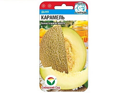 Семена Дыня Карамель 7шт СС 3845