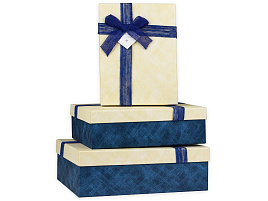 Коробка Бесценные моменты синий ПП-5416 (3)