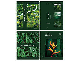 Тетрадь 48л.  Т5ск48_лм 11870 "Тайны природы", матовая ламинация, с форзацем, 70г/м2