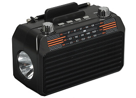 Радиоприемник SOUNDMAX SM-RD2114UB черный