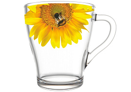 Набор кружек 6шт 1649/6-Д Подсолнух