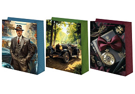 Упаковочная сумочка 18*23 ч55808 Мужская микс