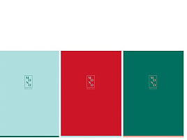 Тетрадь 96л. А4  Т4ск96_лм 11212 "Monocolor. Mono", матовая ламинация