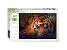 Пазл 1000эл. Сибирский тигр 79142